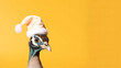 Portrait of peacock with Santa claus rose hat on yellow background. Creative portrait of wild animal. Abstract concept.