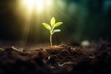 Wall Mural - Emerging life. Beauty of young greenery in spring. Nurturing nature. Fresh start with seedlings and sunshine. Miracle of growth. Small sapling on sunlit day. Green tree