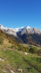 Canvas Print - Col de la Forclaz