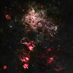Wall Mural - the tarantula nebula
