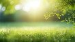 spring green background with twig and grass framing 