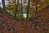 Fototapeta Krajobraz - Buki nad jeziorem Lutom, Park krajobrazow, jesienny pejzaż