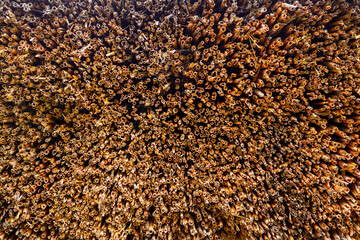 Straw Roof, old weathered thatched roof, thatch or thatching background texture from below