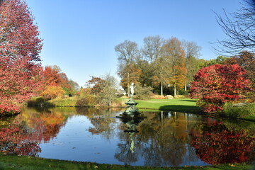 Wall Mural - La beauté bucolique des feuillage de variété d'arbres autour de l'étang à l'arboretum de Wespelaar près de Louvain 