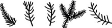 Pine Tree Branches Silhouette. Design Elements Set