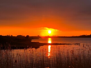 Wall Mural - Scenic sunset over a lake in North Holland