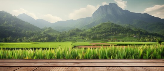 Poster - brown wooden shelf with blurred green rice field farm mountain and hut background copy space image p