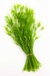 © VISUAL BACKGROUND - Bunch of green grass on white background with brown string.