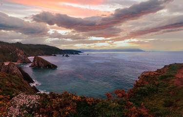 Canvas Print - Evening Costa de Loiba landscape with blossoming bushes and rock formations near shore (Asturias, Spain). Two shots stitch panorama.