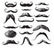 © BigJoy - Mustache set hand drawn sketch in doodle style illustration