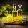 Still life with rapeseed oil in bottles with rape flowers as decortation on a wooden table against a green background
