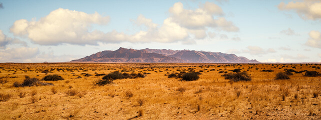 brandberg mountain, erongo region, namibia. located in the northwestern namib desert, on a flat grav
