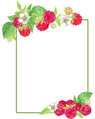 Wall Mural - Rectangular vertical frame with raspberry branches. Place for an inscription. Watercolor illustration. Ripe berries for decorating cookbooks, recipes, kitchen utensils, dishes, food packaging.