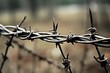 Close-up of barbed wire against a blurred background, emphasizing the menacing, sharp texture