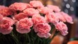 Close up of pink carnation bouquet in flower shop. Marigold. Springtime concept with a space for a text. Valentine day concept with a copy space.