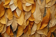 Dried Banana Leaves Abstract Pattern