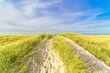 North Sea beach and dunes with beautiful blue sky in Denmark
