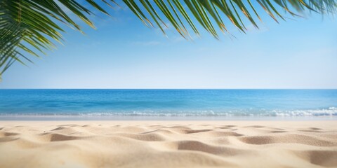 Wall Mural - Beautiful palm tree leaves and blue sea. Minimalism. Summer tropical vacation concept.