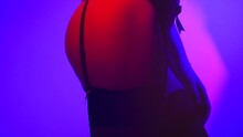 Sexy Seductive Lady In Beautiful Black Lingerie Striptease Dancing, Wearing Stockings With Suspenders. Beauty Woman In Colorful Neon Lights Erotic Girl Fashion. Sexy Buttocks. Slow Motion