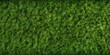 Lush Emerald Meadow, Generative AI