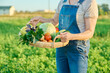 © Valerii Honcharuk - Basket with harvest of summer vegetables in hands of woman, farmer's market