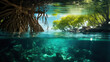 Aquatic glow, mangroves bask under the ethereal oceanic light