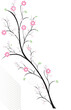 © azteka - Fruit blossoming cherry tree, spring background. Illustration of spring blooming branch with pink flowers with leaves, vector illustration