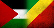 Flag of Palestine and The Republic of the Congo (Congo-Brazzaville) National flag. Grunge background