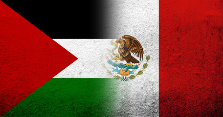 Wall Mural - Flag of Palestine and The United Mexican States (Mexico) National flag. Grunge background