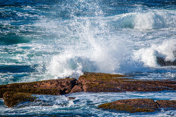 Wall Mural - Daytime coastal views at The Entrance