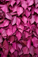 a pile of purple leaves