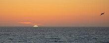 Setting Sun Over Pacific Ocean At Cambria California With Pelican Flying Overhead