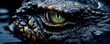 © Bonsales - Close up of open yellow eye of wild angry alligator who watching for victim for attack outdoor