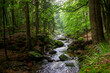 Small waterfall in deep forest covered with green trees. Amazing landscape with a small waterfall in a forest with stone 