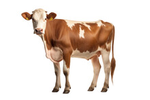 A Cow Isolated On Transparent Background.