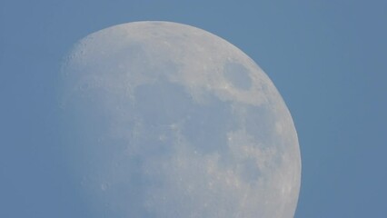 Wall Mural - Beautiful moon in sky - blue.