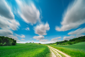 Wall Mural - Landscape with green fields, tree, and dramatic blue sky.