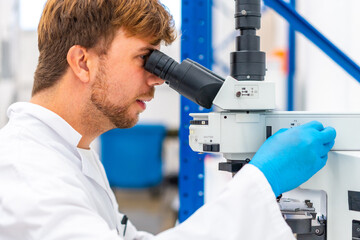 Wall Mural - doctor using microscope during research in laboratory