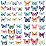 Fototapeta Motyle - Watercolor set of painted butterflies