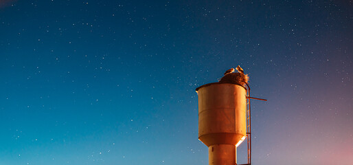 Wall Mural - Panoramic View Of Starry Sky At Night. Night Clear Sky. Storks Sit On A Water Tower. Night Romance Concept. Family, Relationships. Two Adult European White Storks - Ciconia Ciconia Sit On A Water