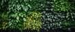 green wall with plants and leaves, eco friendly building concept