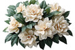 bouquet of white gardenia with leaves isolated on a Transparent background. Generative AI