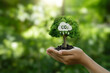 Reduce emission and Carbon neutral concept. Hand holding a tree with a CO2 symbol to limit climate change and global warming, and eco-friendly environment to green business.