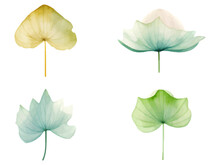 Collection Of Watercolor Lotus Leaf Cliparts