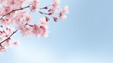 Fototapeta Natura - spring color petal texture delicate illustration sakura blossom, cherry pink, frame background spring color petal texture delicate