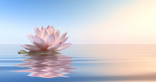 A Pink Lotus Flower Floating In A Water On A Clear Day