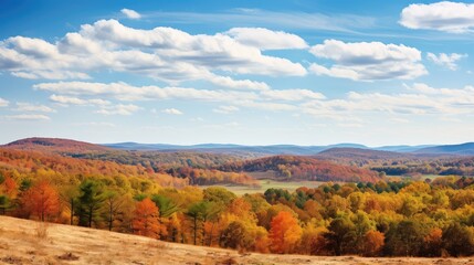 Canvas Print - colorful foliage bright view stunning illustration trees beautiful, scenic sky, travel tree colorful foliage bright view stunning