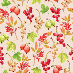 Wall Mural - Vector seamless pattern with varicolored currant