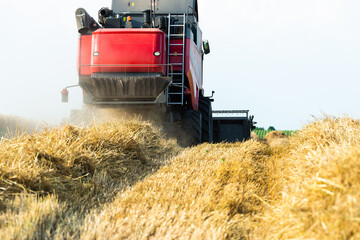 Wall Mural - Harvester working in wheatfield at sunset.