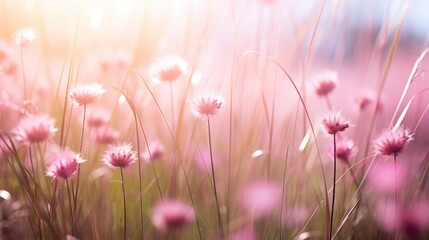 Canvas Print - blossom pink meadow grass close illustration flower spring, color green, summer garden blossom pink meadow grass close